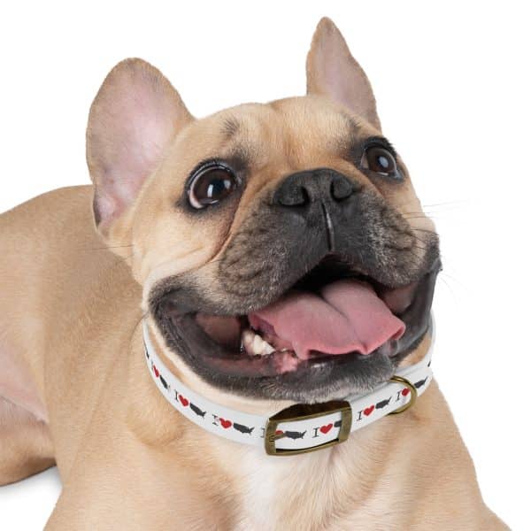 I Love USA Dog Collar - Image 9