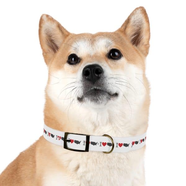 I Love USA Dog Collar - Image 27