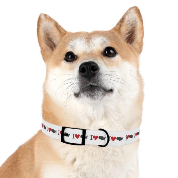 I Love USA Dog Collar - Image 30