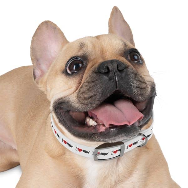 I Love USA Dog Collar - Image 6